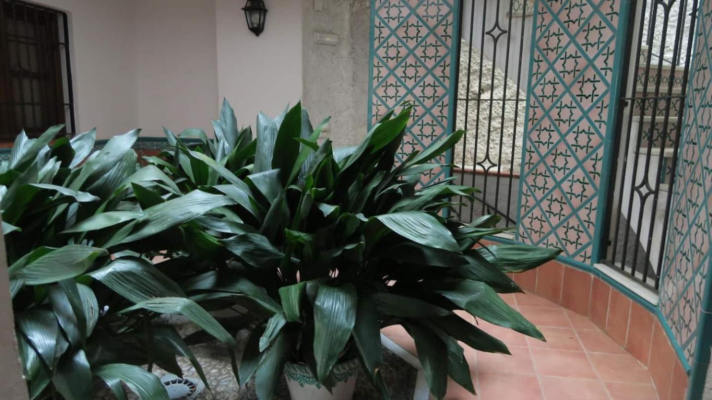 Apartmán Charming Albaicin Patio Flat Free Onsite Parking Granada Exteriér fotografie